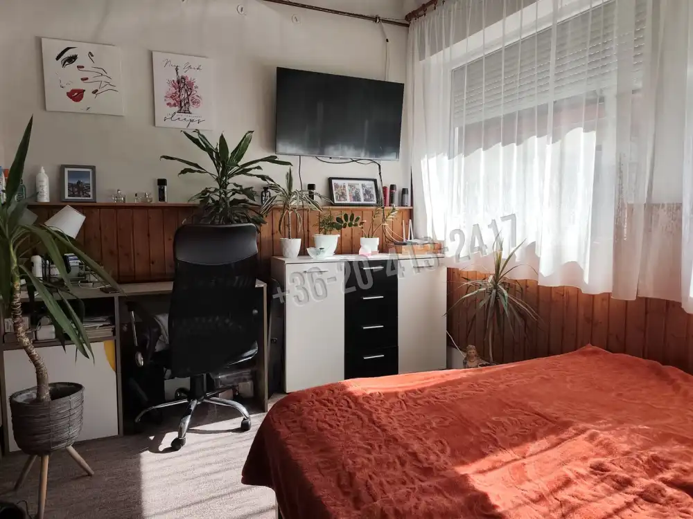 Pest megye - Pusztavacs