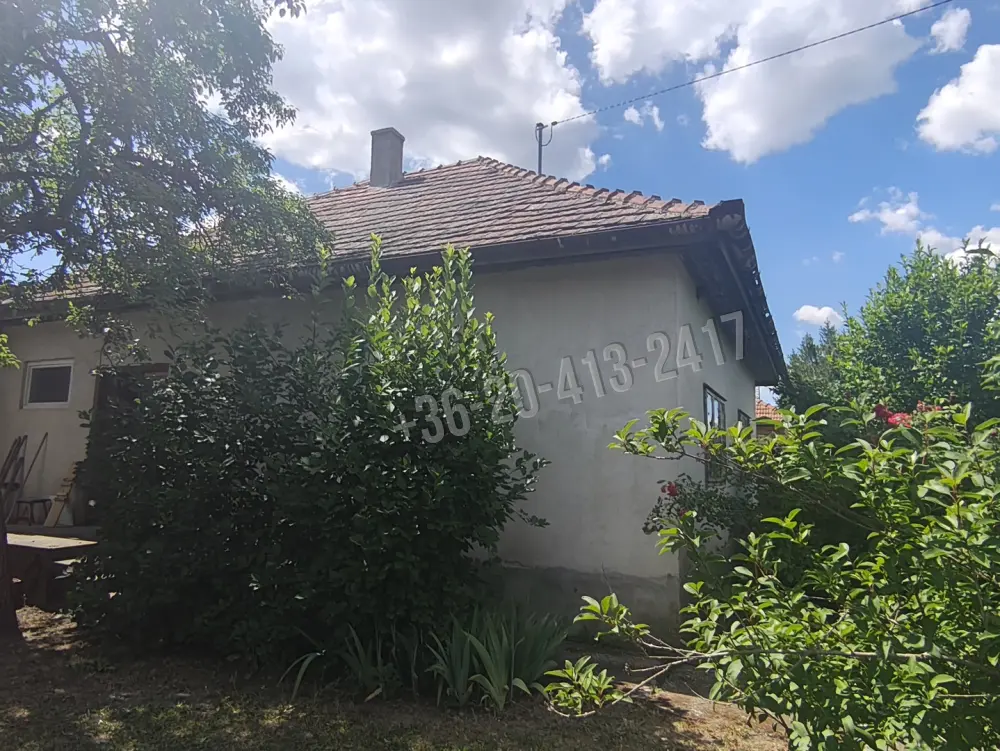 Pest megye - Pusztavacs