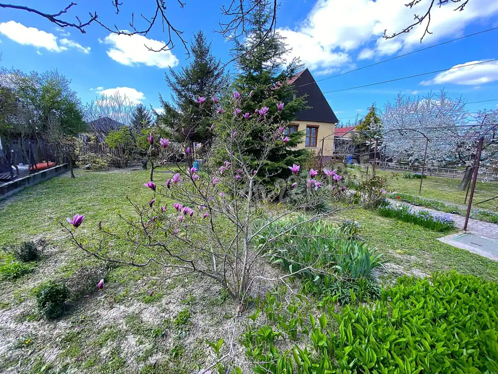 Pest megye - Ráckeve