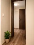 Pest megye - Ráckeve