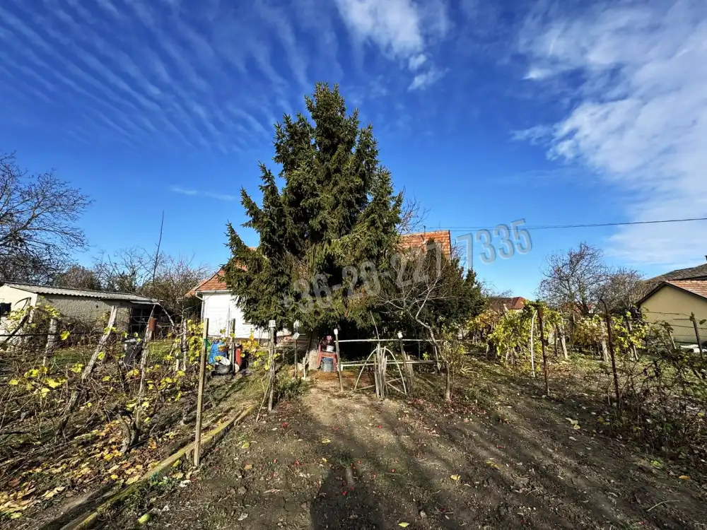 Pest megye - Ráckeve