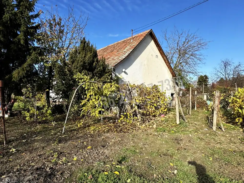 Pest megye - Ráckeve