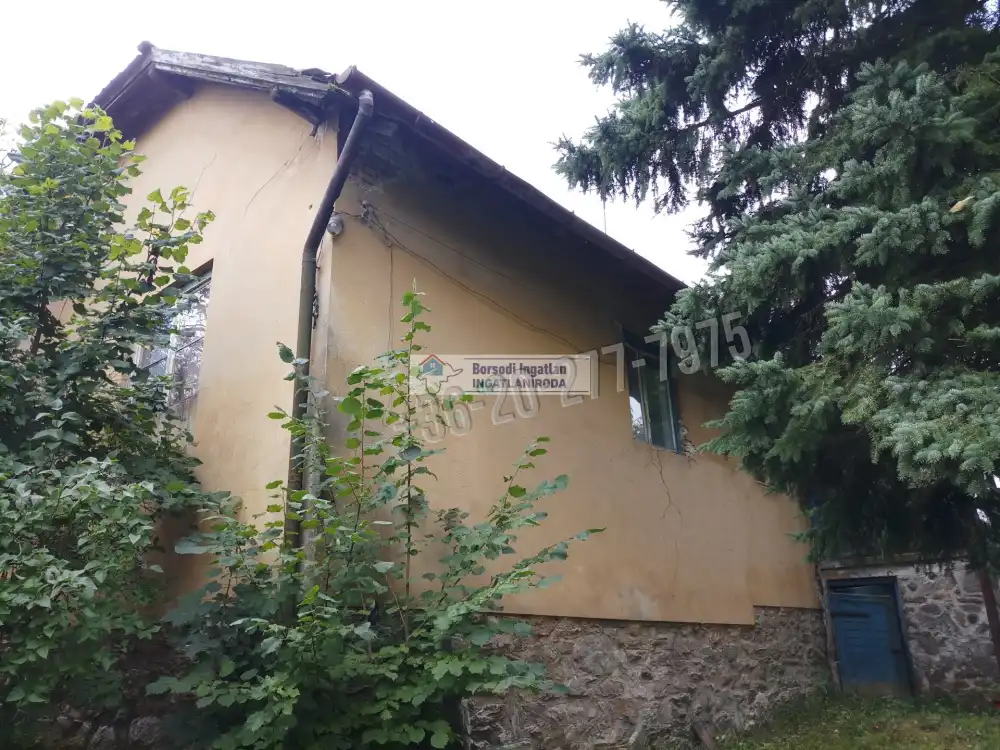 Borsod-Abaúj-Zemplén megye - Rudabánya