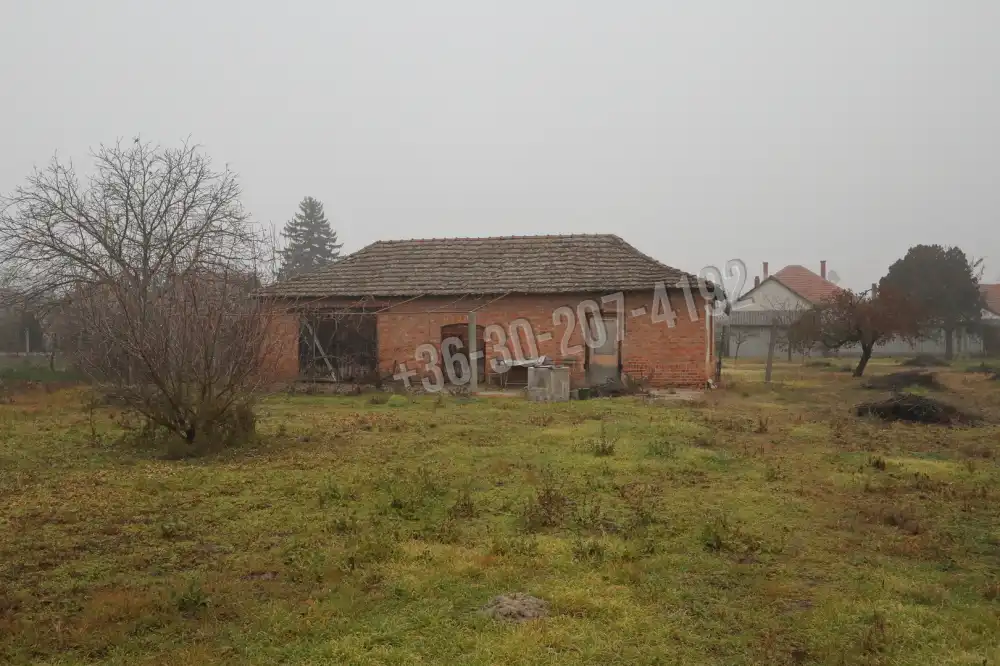 Csongrád megye - Sándorfalva