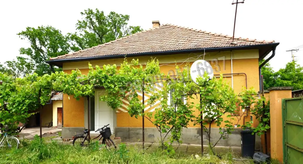 Csongrád megye - Sándorfalva