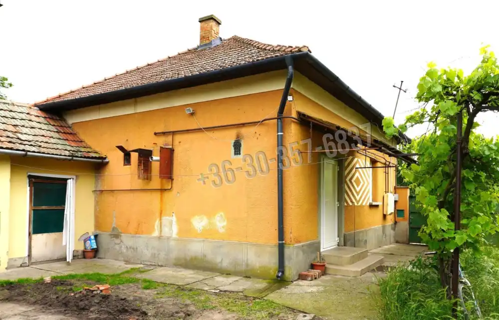 Csongrád megye - Sándorfalva