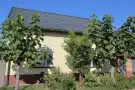 Csongrád megye - Sándorfalva
