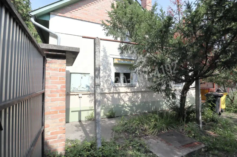 Csongrád megye - Sándorfalva