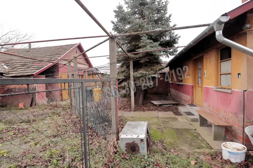 Csongrád megye - Sándorfalva