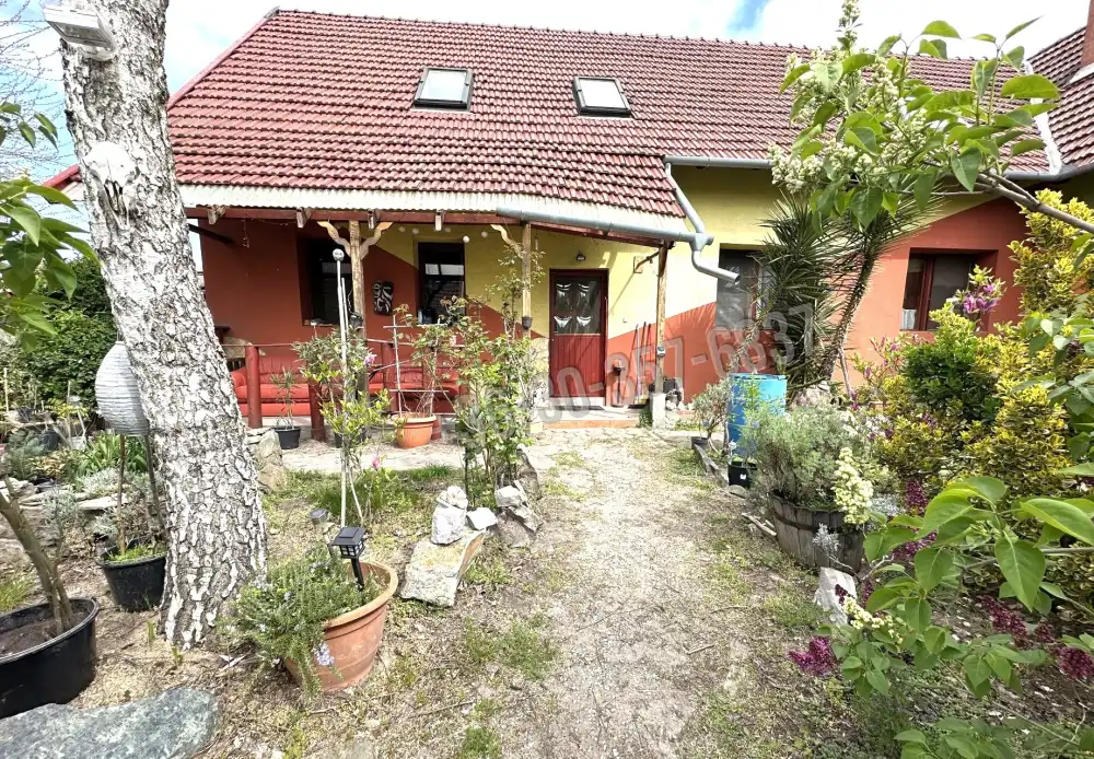 Csongrád megye - Sándorfalva