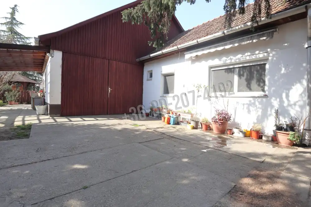 Csongrád megye - Sándorfalva