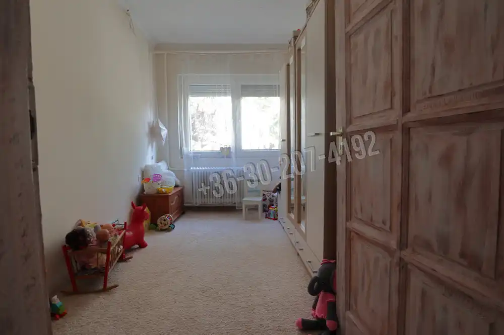 Csongrád megye - Sándorfalva