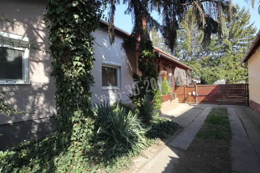 Csongrád megye - Sándorfalva