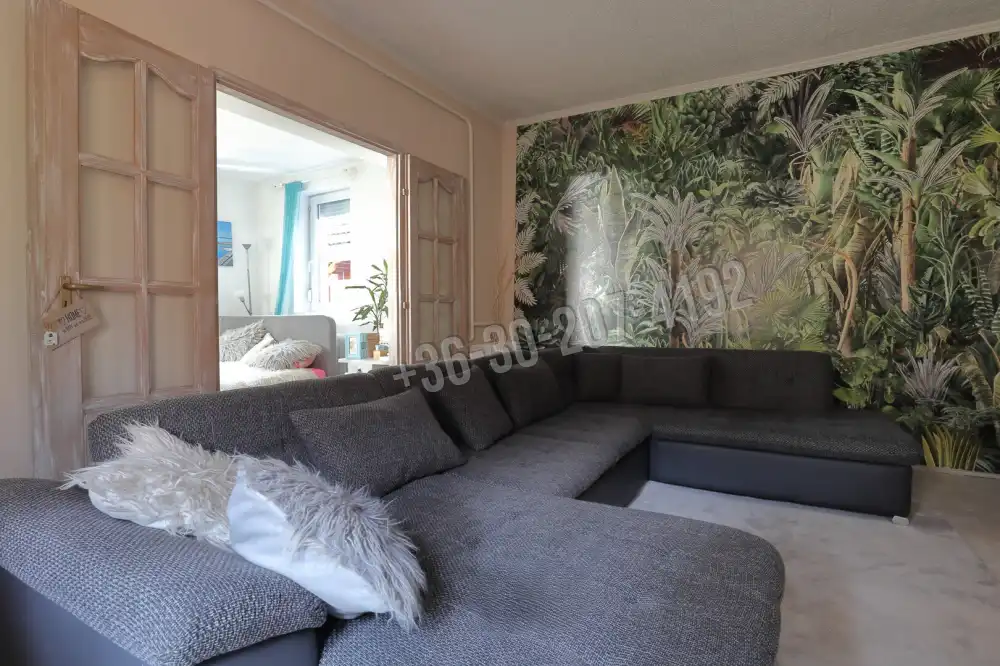 Csongrád megye - Sándorfalva