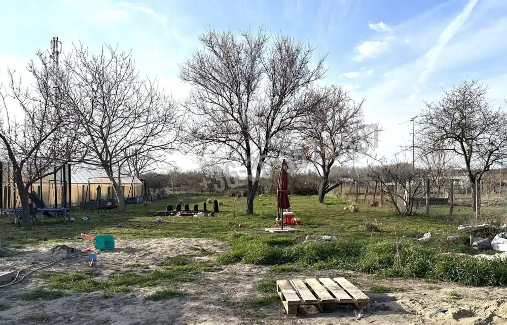 Csongrád megye - Sándorfalva