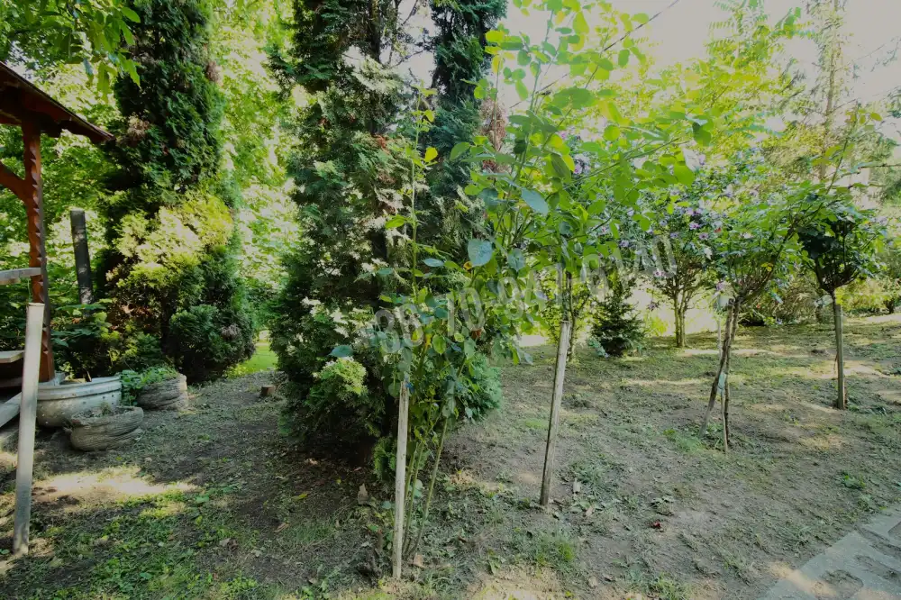 Békés megye - Sarkad