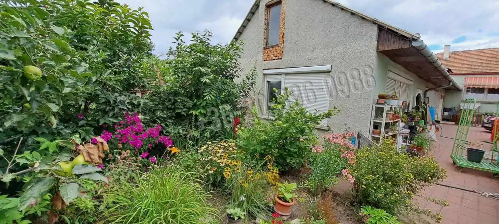 Győr-Moson-Sopron megye - Sarród