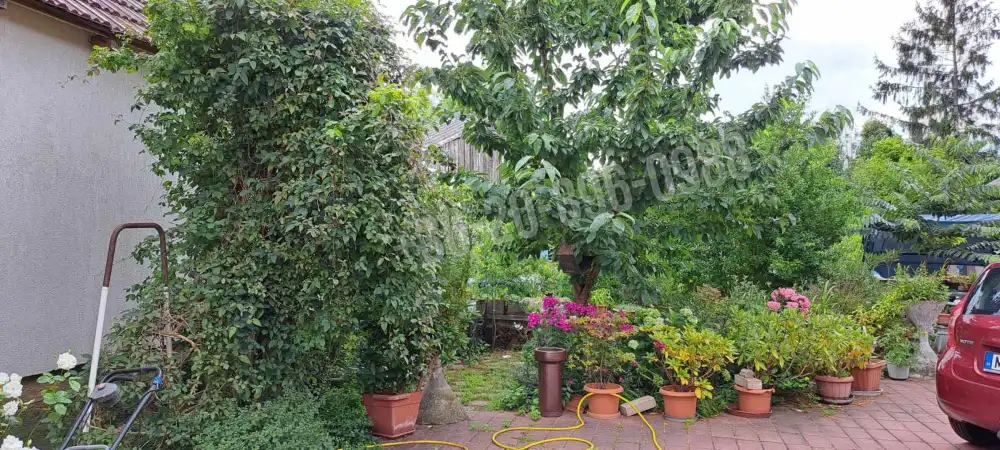 Győr-Moson-Sopron megye - Sarród