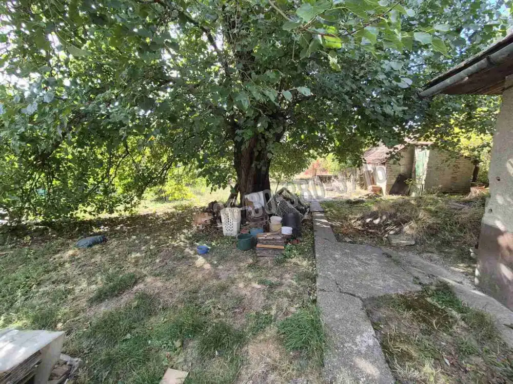 Bács-Kiskun megye - Solt