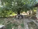 Bács-Kiskun megye - Solt