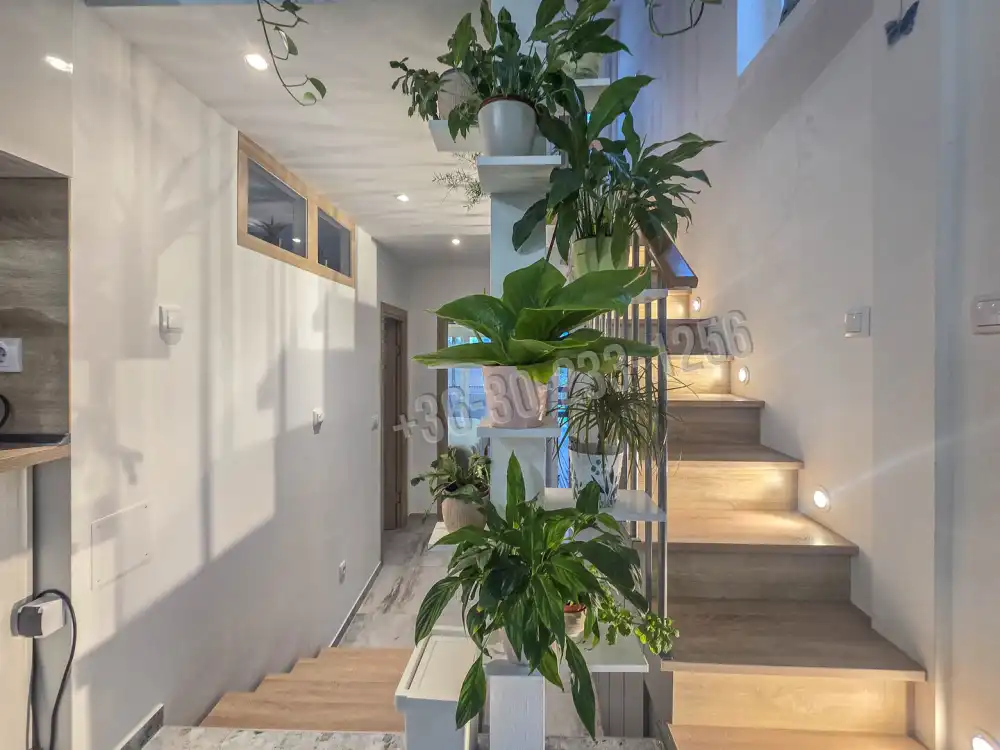 Győr-Moson-Sopron megye - Sopron