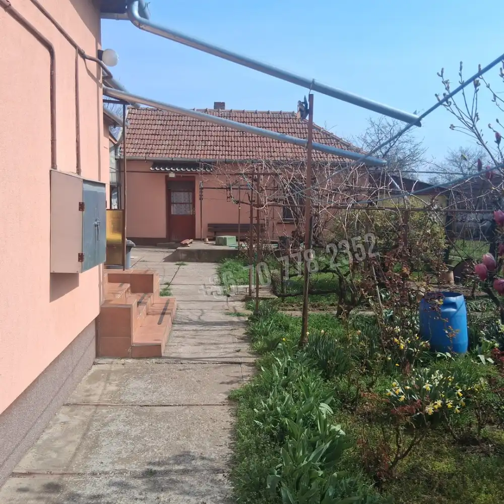 Békés megye - Szabadkígyós