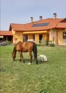 Pest megye - Szada
