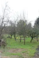 Vas megye - Szatta
