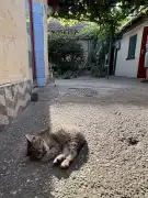 Csongrád megye - Szatymaz