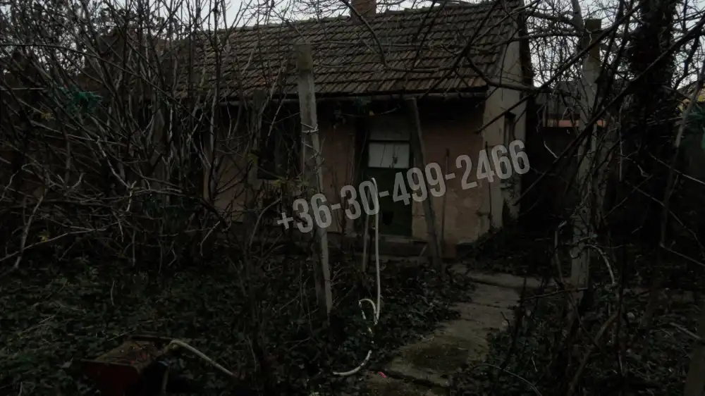 Csongrád megye - Szeged