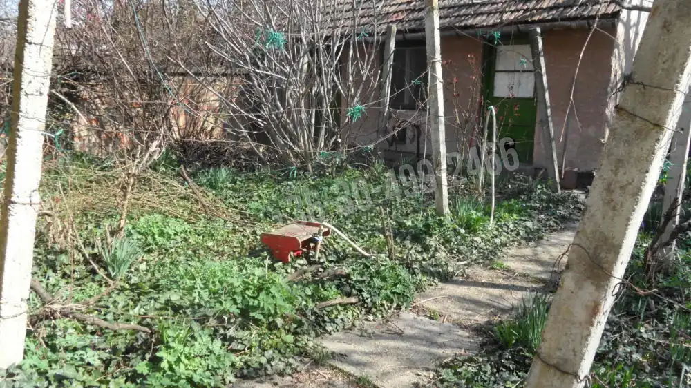 Csongrád megye - Szeged