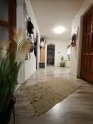 Csongrád megye - Szeged
