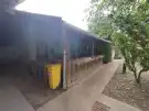 Csongrád megye - Szeged