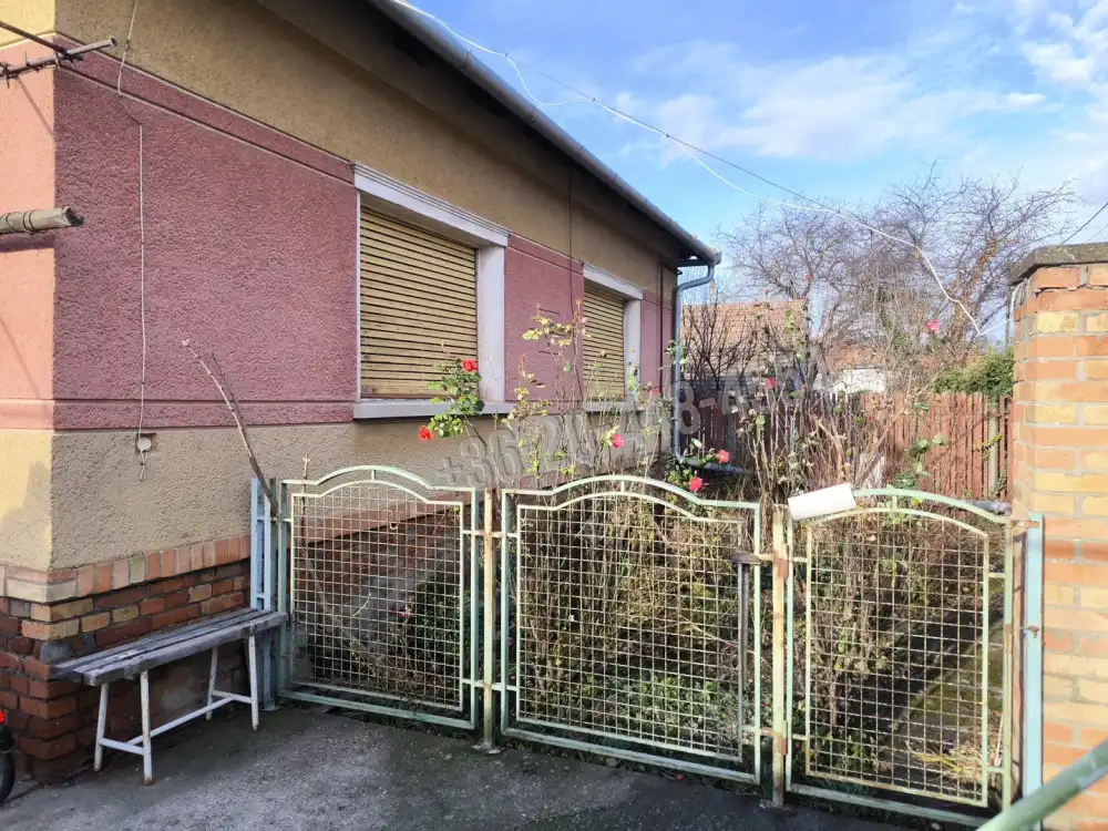 Csongrád megye - Szeged