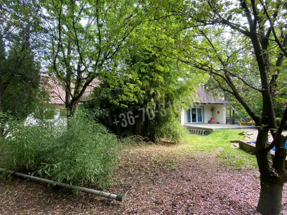 Pest megye - Szentendre