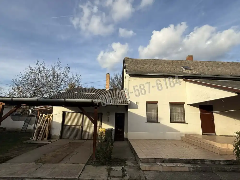 Csongrád megye - Szentes