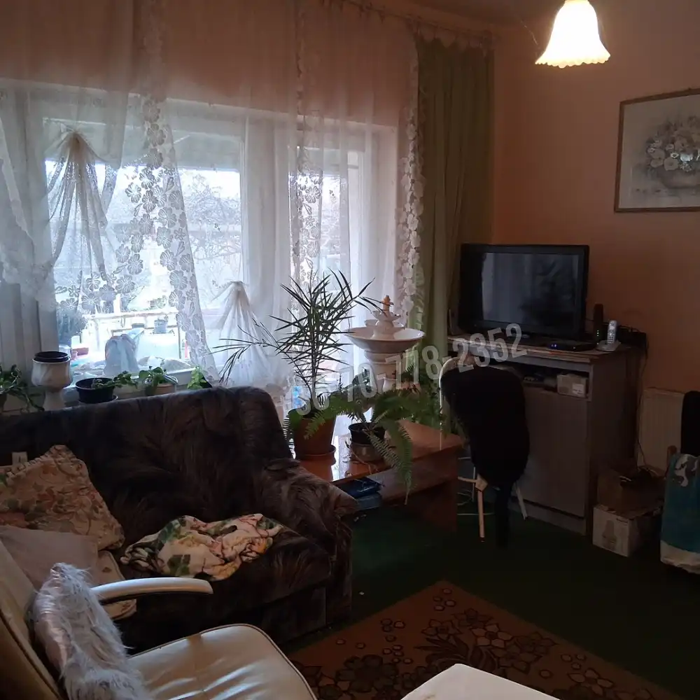 Csongrád megye - Szentes