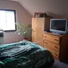 Csongrád megye - Szentes