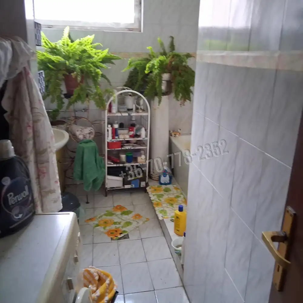 Csongrád megye - Szentes