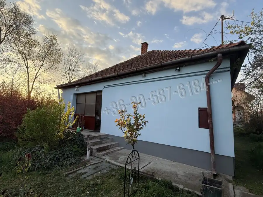 eladó családi ház, Szerep