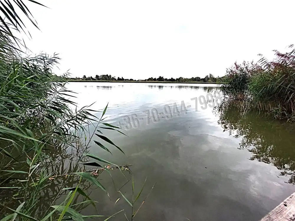 Pest megye - Szigethalom