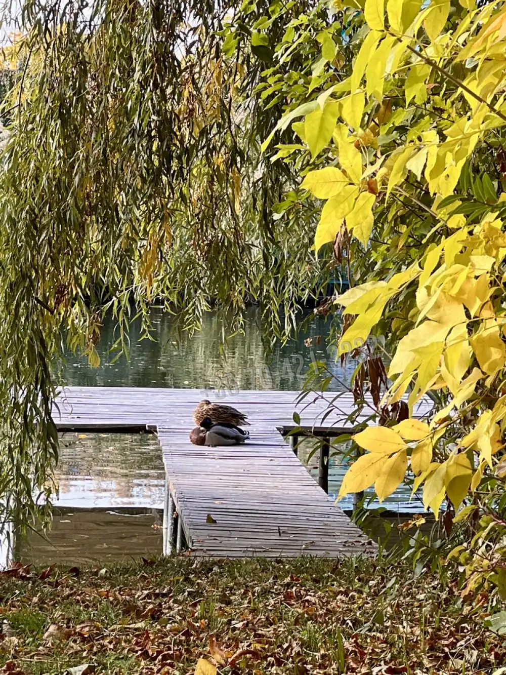 Pest megye - Szigethalom