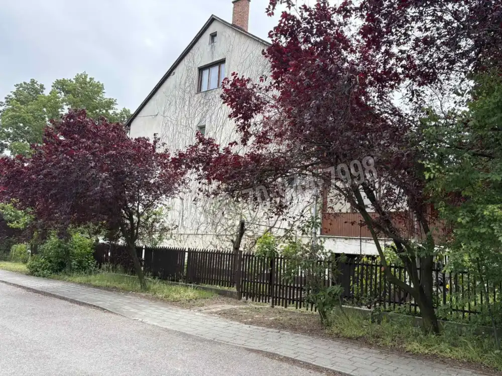 Pest megye - Szigetszentmiklós