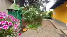 Pest megye - Szob