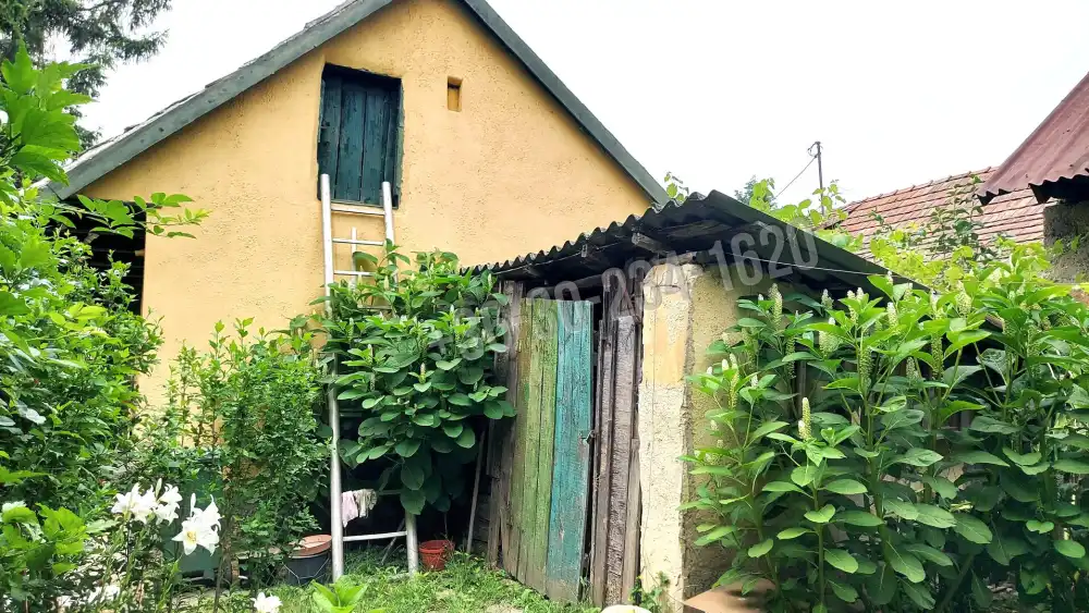 Pest megye - Szob