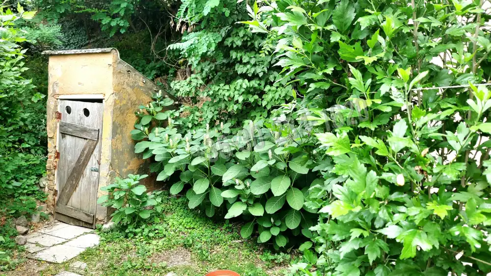 Pest megye - Szob