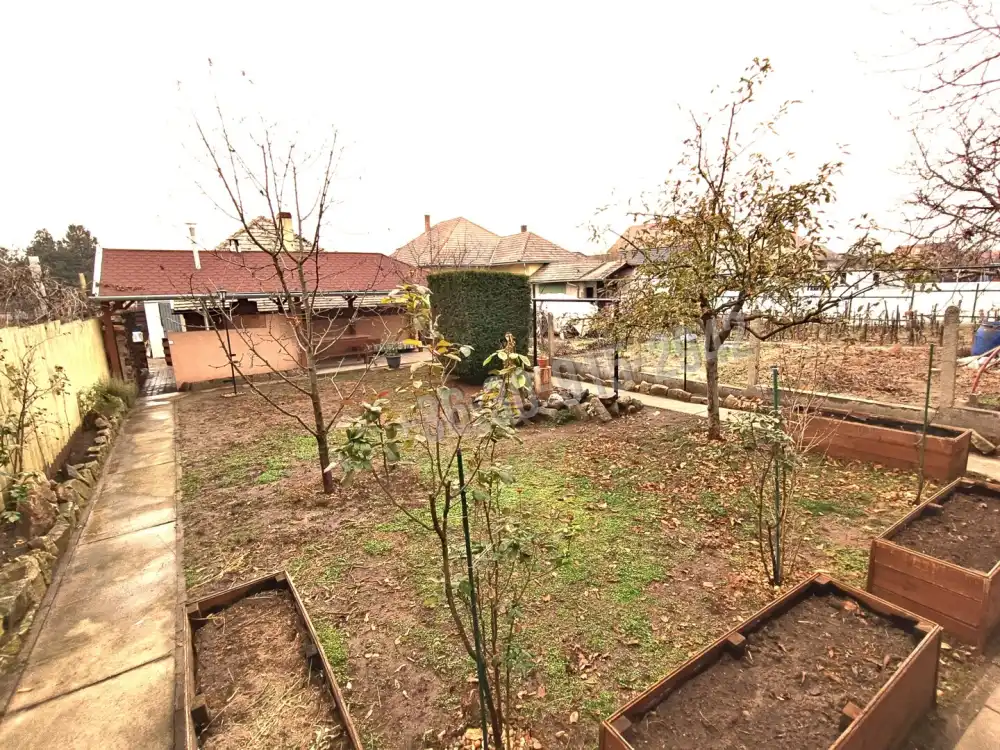 Pest megye - Sződ