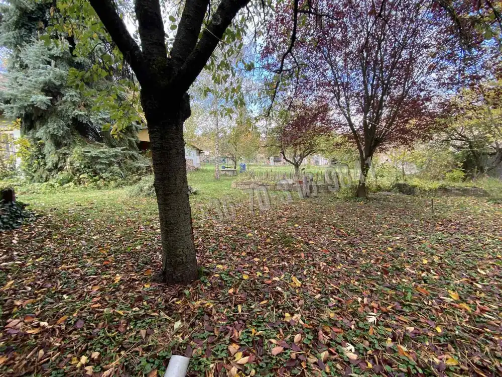 Pest megye - Szokolya