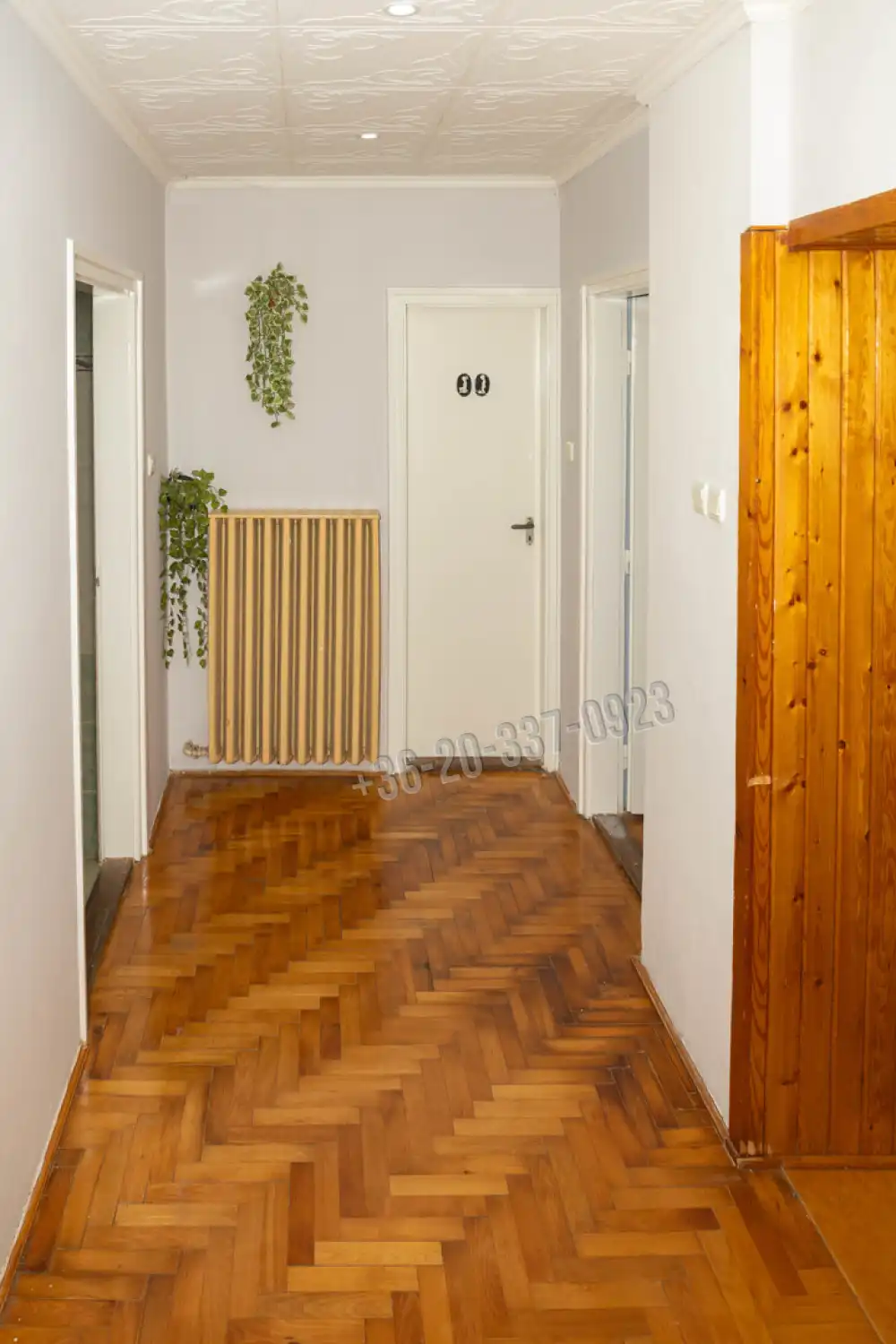 Nógrád megye - Szurdokpüspöki