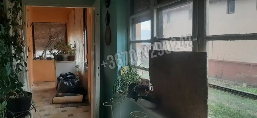eladó családi ház, Taktaszada